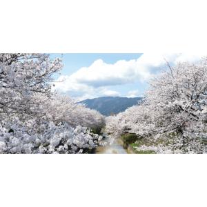 ふるさと納税 服 女 奈良県 大和高田市 日本...の詳細画像5