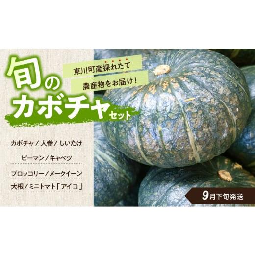 ふるさと納税 北海道 東川町 【9月下旬発送】旬の採れたて野菜「カボチャセット」