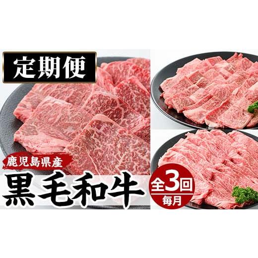 ふるさと納税 牛肉 モモ 鹿児島県 日置市 No.727 定期便・全3回(連続) 黒毛和牛の赤身牛肉...