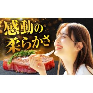 ふるさと納税 牛肉 ステーキ 岐阜県 土岐市 ...の詳細画像2