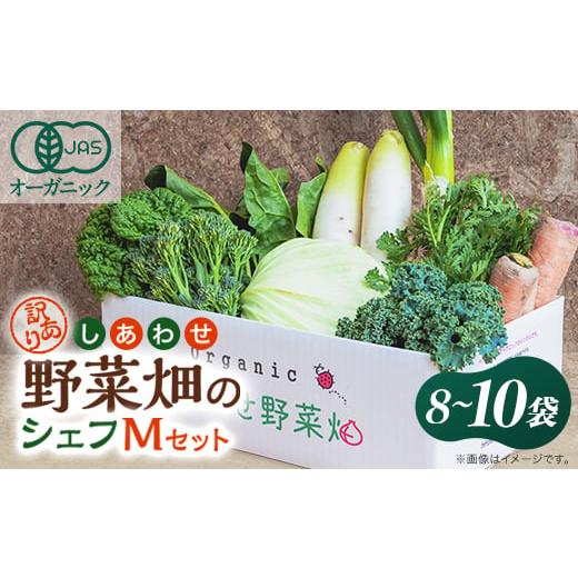 ふるさと納税 野菜類 玉ねぎ 静岡県 掛川市 しあわせ野菜畑のシェフMセット　(訳あり規格外の有機野...