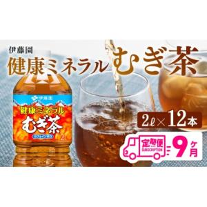 ふるさと納税 お茶類 宮崎県 川南町 健康ミネラル むぎ茶2L×6本×2ケースPET 9ケ月定期便 飲料類 お茶 麦茶