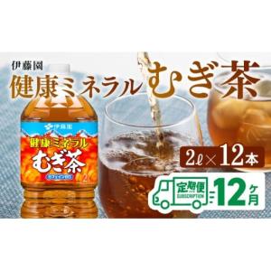 ふるさと納税 お茶類 宮崎県 川南町 健康ミネラル麦茶 むぎ茶2L×6本×2ケースPET 12ケ月定期便 むぎ茶 飲料類 お茶 麦茶