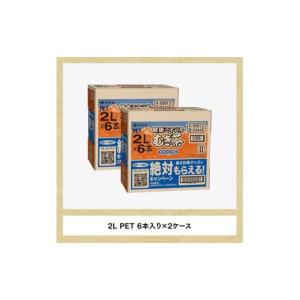 ふるさと納税 お茶類 宮崎県 川南町 健康ミネ...の詳細画像3