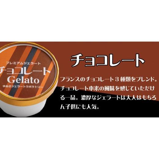 ふるさと納税 和歌山県 新宮市 プレミアムジェラート チョコレート12個セット アイスクリームセット...