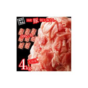 ふるさと納税 福岡県 飯塚市 国産 豚 切落し 4.0kg（500gｘ8p）