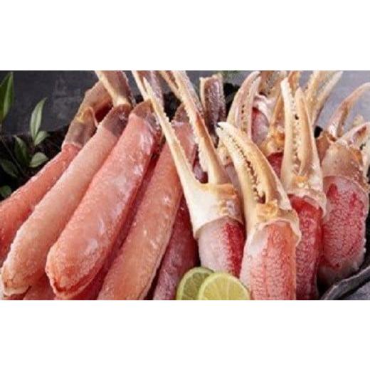 ふるさと納税 カニ ずわいガニ 大阪府 阪南市 大トロ蟹 しゃぶしゃぶセット 800g 4L〜6L ...