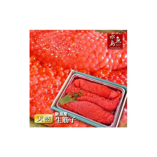 ふるさと納税 新潟県 新発田市 令和6年産 先行予約 生筋子 1kg【 新潟県産 予約 はらこ いく...