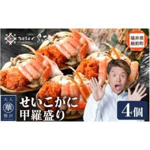 ふるさと納税 エビ・カニ等 カニ 福井県 越前町 せいこがに 甲羅盛り 4杯「この道50年の職人が選ぶ 」海の宝石箱 ずわいがに 雌 せいこ蟹 セコガニ かに カニ …｜ふるさとチョイス