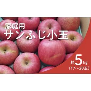 ふるさと納税 りんご 長野県 松川町 KR18...の詳細画像1