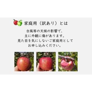ふるさと納税 りんご 長野県 松川町 KR18...の詳細画像2