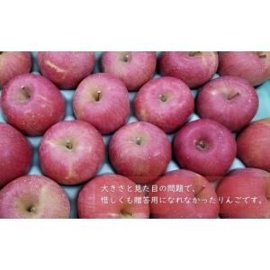 ふるさと納税 りんご 長野県 松川町 KR18...の詳細画像3