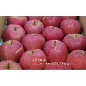 ふるさと納税 りんご 長野県 松川町 KR18...の詳細画像5
