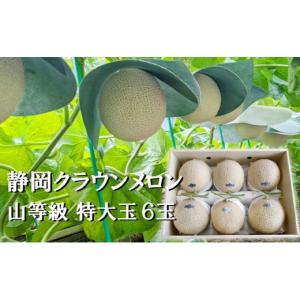 ふるさと納税 メロン メロン青肉 静岡県 袋井...の詳細画像1