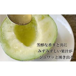 ふるさと納税 メロン メロン青肉 静岡県 袋井...の詳細画像3