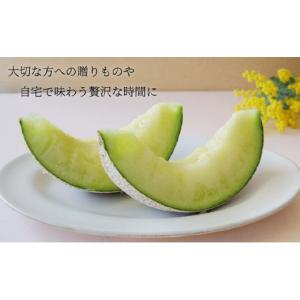 ふるさと納税 メロン メロン青肉 静岡県 袋井...の詳細画像4