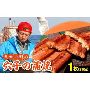 ふるさと納税 島根県 大田市 あなご 蒲焼 1枚 210g 天...