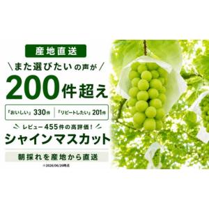 ふるさと納税 ぶどう マスカット 山梨県 大月...の詳細画像2