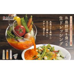 ふるさと納税 調味料・油 ドレッシング 福岡県...の詳細画像2