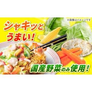 ふるさと納税 麺類 長崎県 長与町 12回定期...の詳細画像3