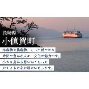 ふるさと納税 麺類 長崎県 小値賀町 全12回...の詳細画像5
