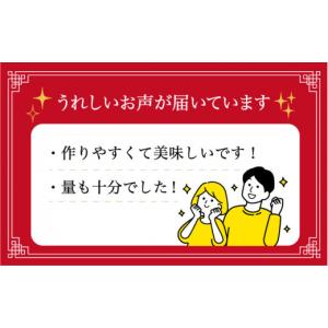 ふるさと納税 麺類 長崎県 小値賀町 全12回...の詳細画像4