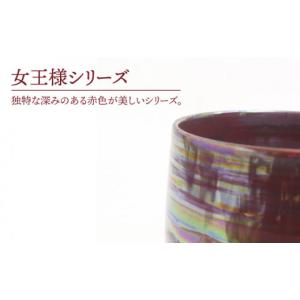 ふるさと納税 陶磁器・漆器・ガラス 岐阜県 土...の詳細画像2