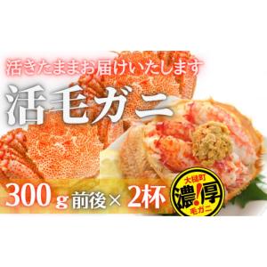 ふるさと納税 岩手県 大槌町 三陸産 三陸活毛ガニ