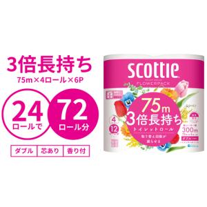 ふるさと納税 雑貨・日用品 埼玉県 草加市 ト...の詳細画像2
