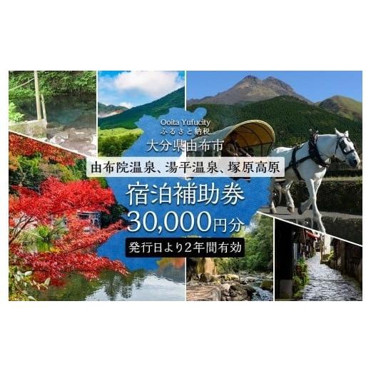 ふるさと納税 入場券・優待券 大分県 由布市  由布市（湯布院、由布院、湯平、塚原高原） ふるさと納...