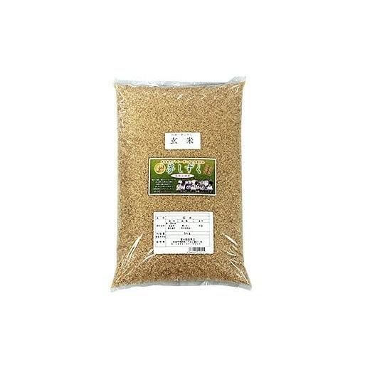 ふるさと納税 玄米 佐賀県 佐賀市  新米 令和7年産 特別栽培 夢しずく 玄米 5kg 佐賀市 東...