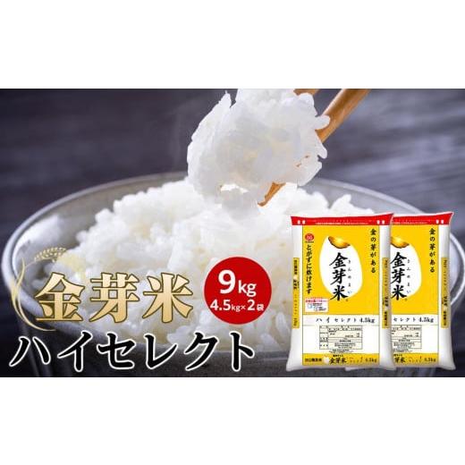 ふるさと納税 無洗米 和歌山県 和歌山市 金芽米ハイセレクト9kg（ 4.5kg × 2 ） BG無...