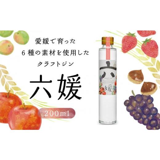 ふるさと納税 愛媛県 松山市 道後ジン 六媛 200ml お中元 おすすめ 人気 ギフト 道後 フル...