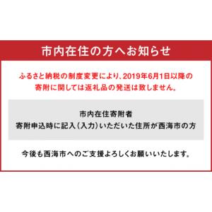 ふるさと納税 雑貨・日用品 花 長崎県 西海市...の詳細画像5
