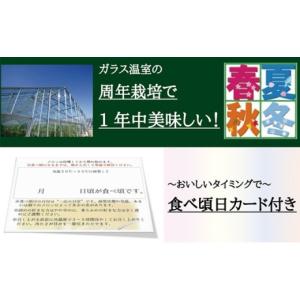ふるさと納税 メロン メロン青肉 静岡県 袋井...の詳細画像5