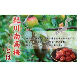 ふるさと納税 加工品等 梅干 和歌山県 串本町...の詳細画像2
