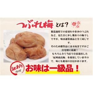 ふるさと納税 加工品等 梅干 和歌山県 串本町...の詳細画像4