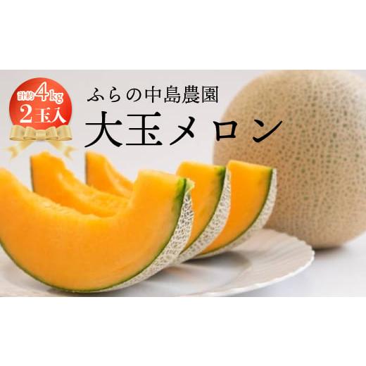 ふるさと納税 メロン メロン赤肉 北海道 富良野市  2026年発送 富良野メロン　大玉　2玉入り ...