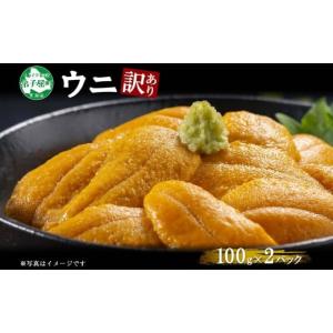 ふるさと納税 北海道 弟子屈町 1259. 訳あり うに 200g