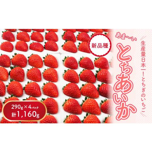 ふるさと納税 いちご 栃木県 さくら市  先行予約 数量限定 とちあいか 290g×4パック｜いちご...
