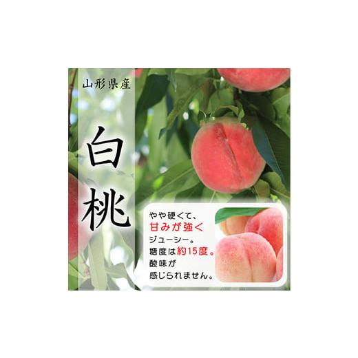 ふるさと納税 山形県 - 《令和6年産先行受付》山形県産 白桃 3kg 品種玉数おまかせ FSY-0...