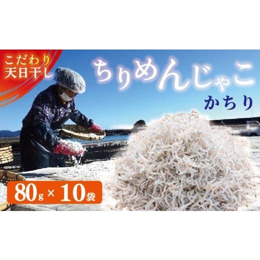 ふるさと納税 しらす・ちりめん 高知県 黒潮町 ちりめんじゃこ カチリ 80g×10袋 天然 ちりめ...