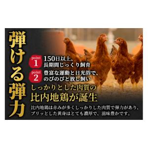 ふるさと納税 鶏肉 ムネ 秋田県 北秋田市 《...の詳細画像5