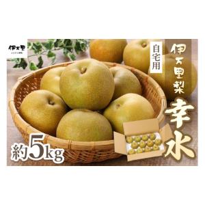 ふるさと納税 梨 佐賀県 伊万里市 2026年産先行予約 伊万里梨 「幸水」 約5kg ご自宅用におすすめ 178-B938 フルーツ 果物 果実 くだもの