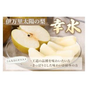 ふるさと納税 梨 佐賀県 伊万里市 2026年...の詳細画像2