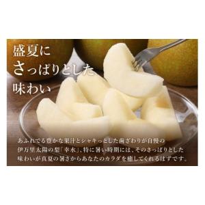 ふるさと納税 梨 佐賀県 伊万里市 2026年...の詳細画像3