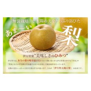 ふるさと納税 梨 佐賀県 伊万里市 2026年...の詳細画像4