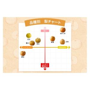 ふるさと納税 梨 佐賀県 伊万里市 2026年...の詳細画像5