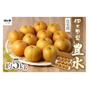 ふるさと納税 梨 佐賀県 伊万里市 2026年産先行予約 伊万里梨 「豊水」 約5kg ご自宅用におすすめ 178-B939 フルーツ 果物 果実 くだもの