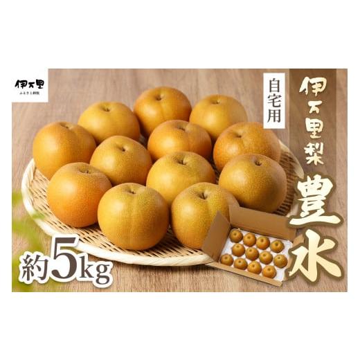 ふるさと納税 梨 佐賀県 伊万里市  2026年産先行予約 伊万里梨 「豊水」 約5kg ご自宅用に...